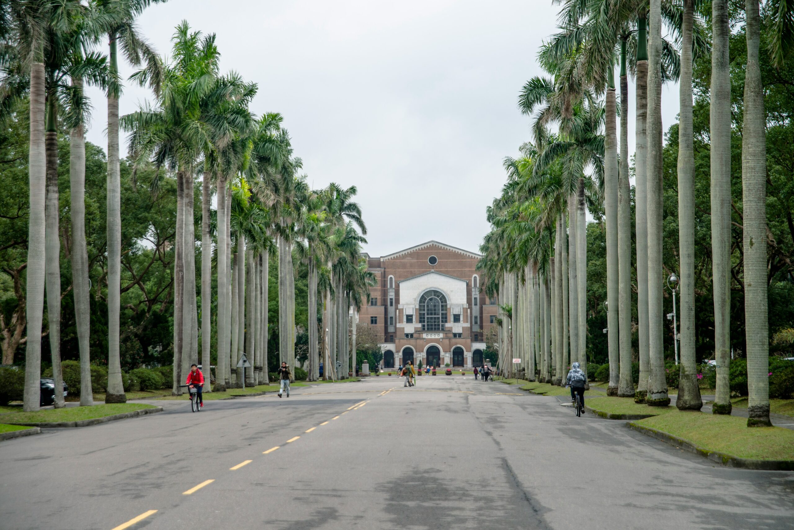 Scholarship application support for Nigerian students studying abroad